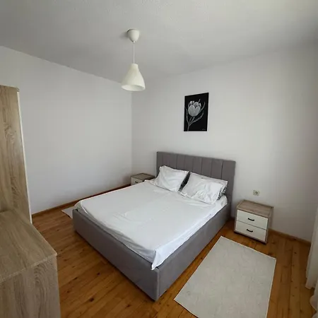 Ili's Apartment, Πόγραδετς